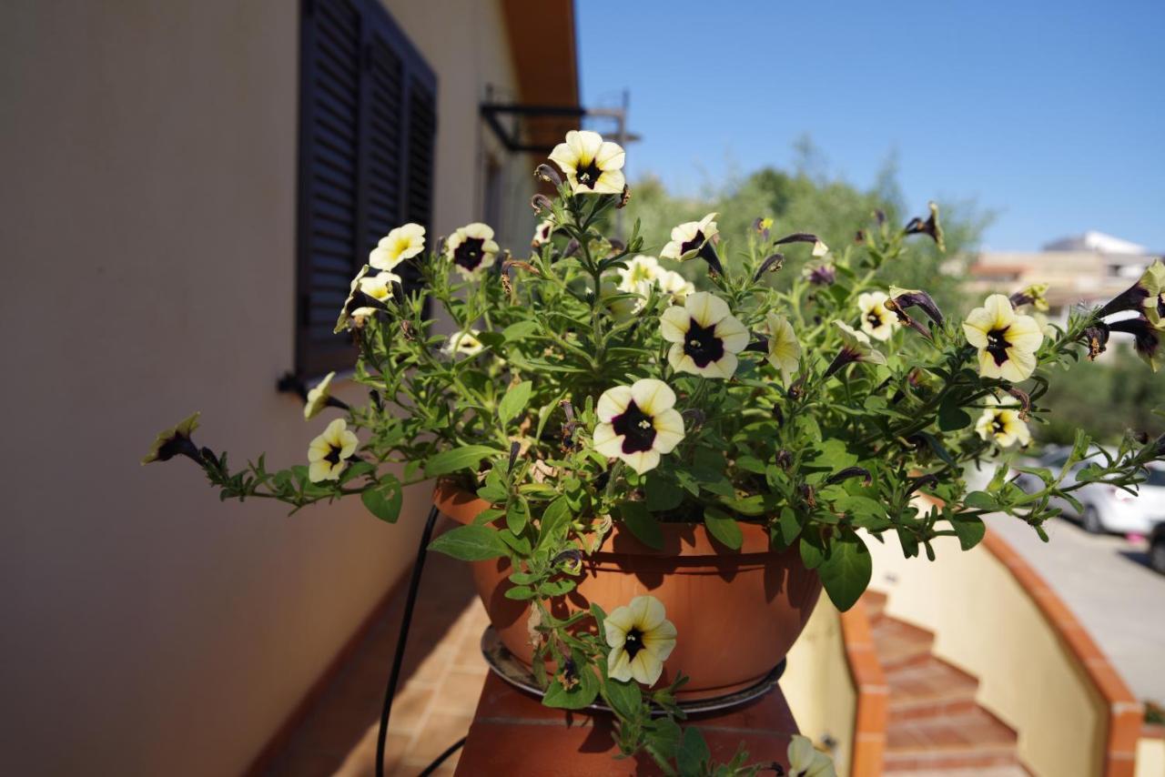 Balconcino Sugli Ulivi Bed & Breakfast Noto Exterior photo